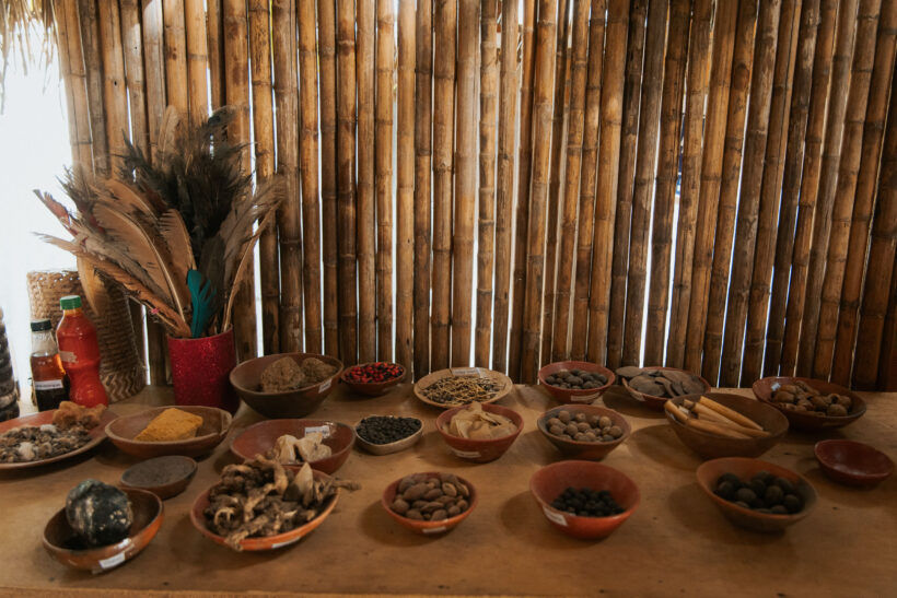 san-martin-lamas-REDNATI-PERU